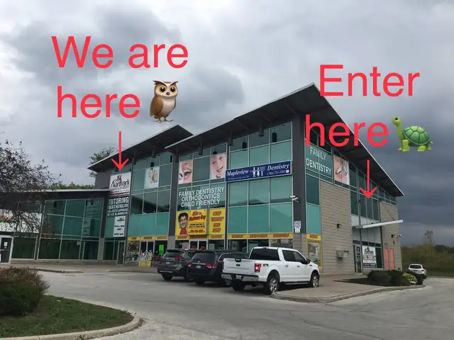 Jeff445158896803532803