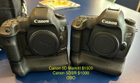 Canon + lens + camera equipment