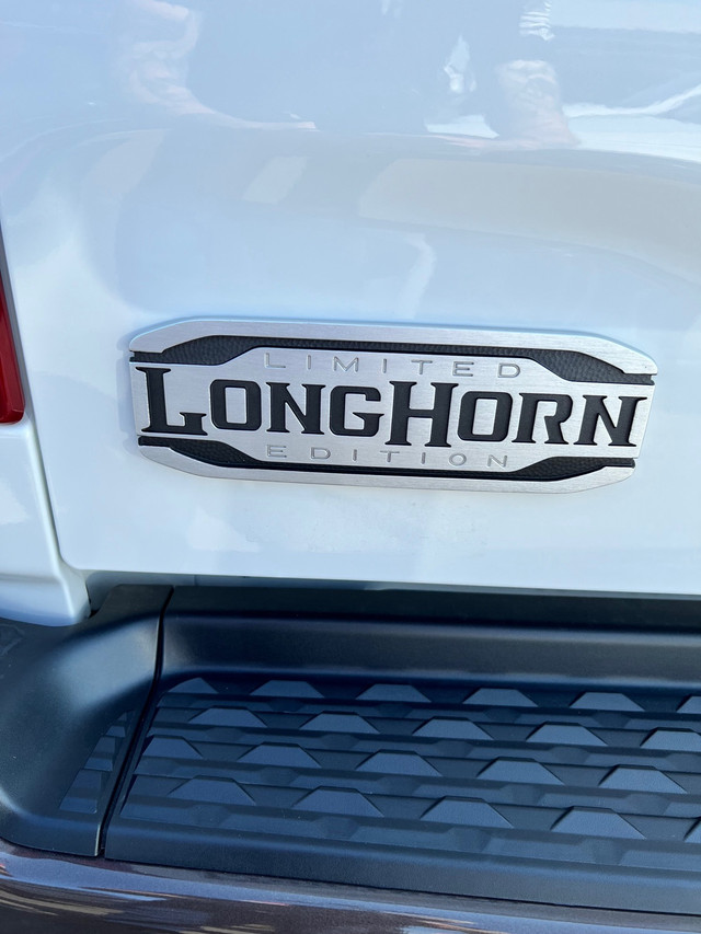 Longhorn  in Cars & Trucks in Delta/Surrey/Langley - Image 2