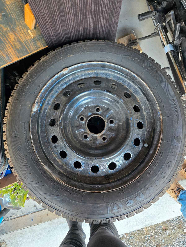winter tires on steel rims in Tires & Rims in Brantford