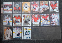 Braden Holtby hockey cards 