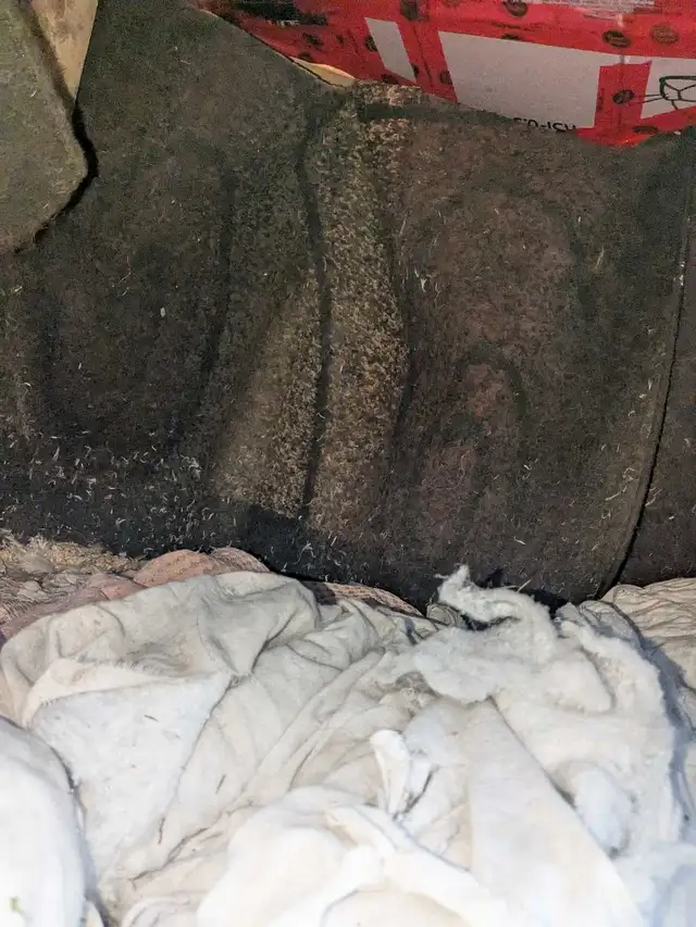 Dog House Large Custom Built (Used 10 years old) in Accessories in Saskatoon - Image 6