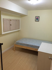 York University Village Basement Room For Rent