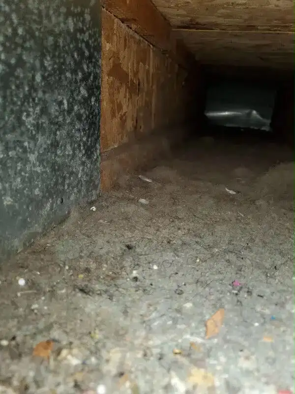 Duct Cleaning