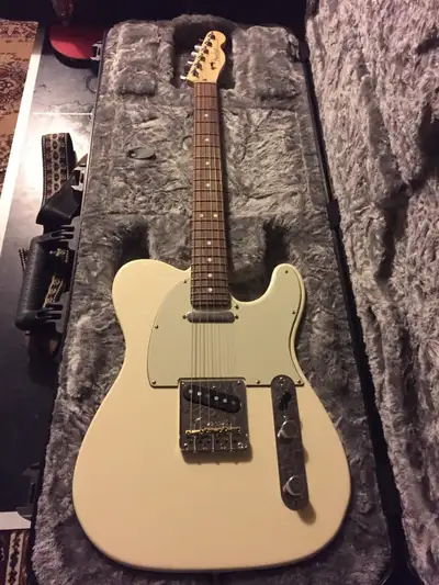 I have a 2018 Fender American Pro Telecaster in Olympic white with mint pick guard and rosewood fret...
