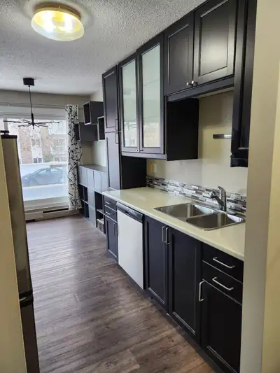 Beautiful large 1 bedroom appartment for lease takeover with possible renual in January. Avaliable O...