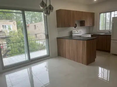 Fully Renovated spacious 41/2 inSt-Laurent