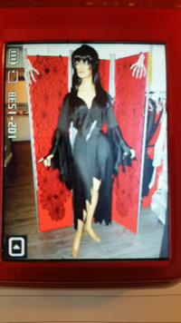 Ladies Elvira Mistress Of The Dark Costume