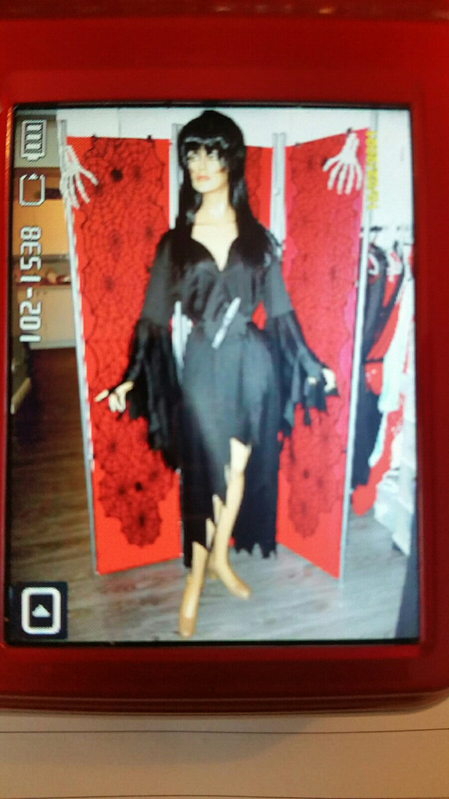 Ladies Elvira Mistress Of The Dark Costume in Costumes in St. John's