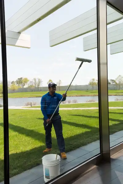 Window Cleaner, View more