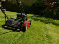 Lawn/property maintenance 