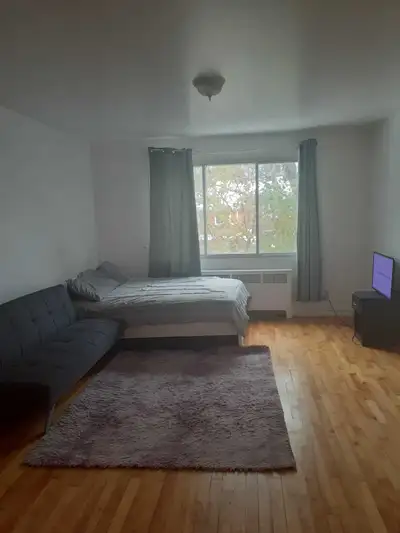 Spacious 2 and a half apartment on the 1st floor, 7 minutes from metro Sauvé, orange line. The apart...