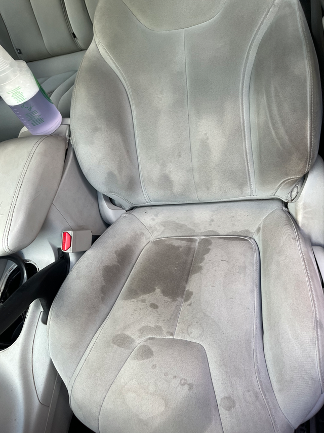 Mobile Automotive Detailing in Detailing & Cleaning in Mississauga / Peel Region - Image 3