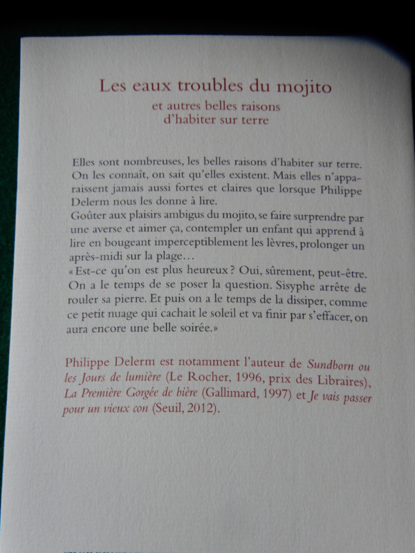 Philippe DELERM cinq (5) petits BIJOUX littéraires dans Ouvrages de fiction  à Sherbrooke - Image 4