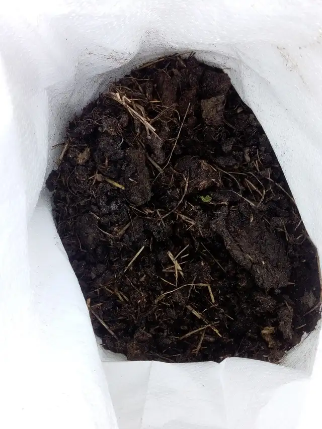 All Natural Manure Fertilizer