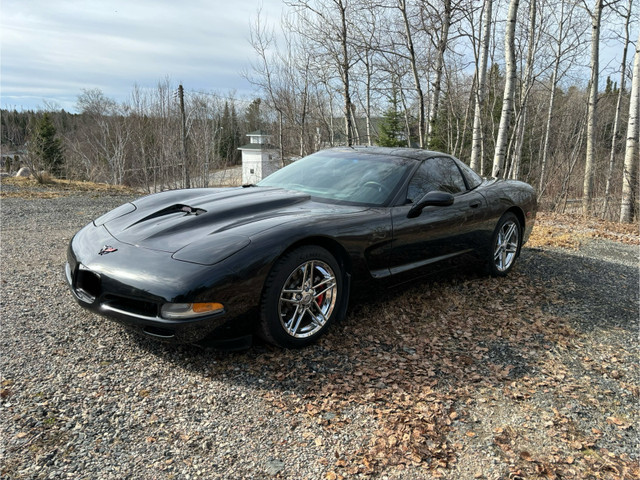 2000 corvette  in Cars & Trucks in Kenora - Image 4