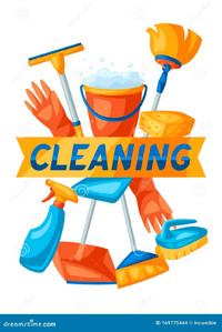 Housekeeper clean your house!