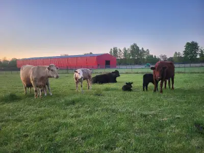 farm help needed, View more