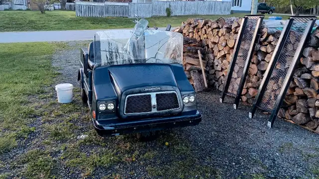 Harley Davidson EV golf cart in Other in Miramichi - Image 2