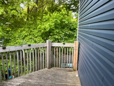 Immediately-Room for Rent $625 Summer Quinpool/Robie