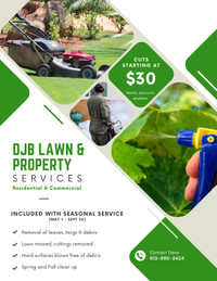 DJB Lawn Care and Property Maintenance