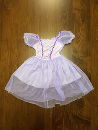 Princess dress (age 4-6x) in Richmond Hill