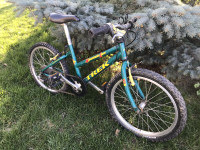 Kids Mountain Bike