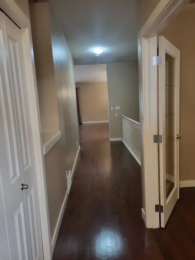 Professional Painter511269286068234244