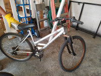 Pedal Bike with new handle and seat