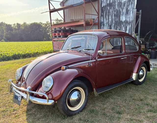 65 VW BEETLE 1300 SENIOR OWNER NORUST REBUILT MOTOR RUN/DRIVE A1 in Classic Cars in Brantford - Image 3