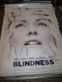 Blindness movie poster and dvd