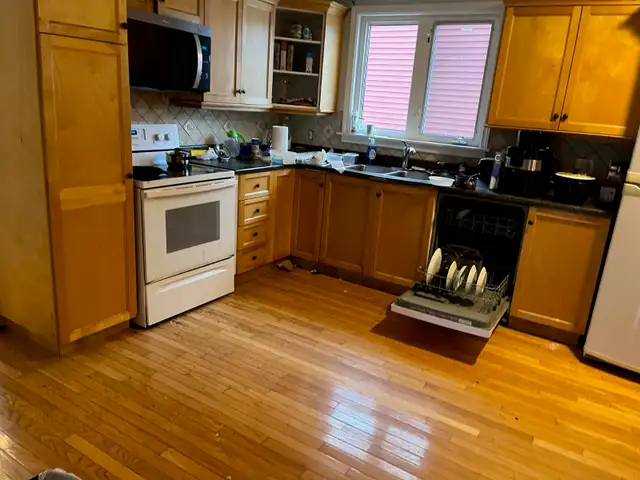 Room for rent in Room Rentals & Roommates in St. John's - Image 4