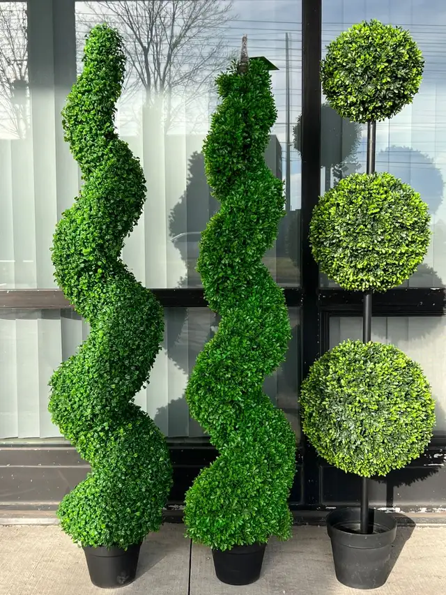 Lush Green Boxwood Trees: Durable & UV-Protected for Outdoor in Outdoor Décor in Mississauga / Peel Region - Image 2