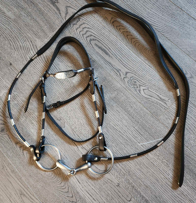 14" saddle & bridle package  in Equestrian & Livestock Accessories in City of Toronto - Image 2