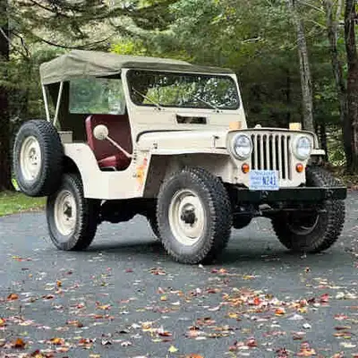 Wilma needs a new home. I’m moving and unfortunately, there’s no room for the old girl. I will miss...