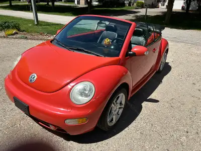 New transmission at 208k Timing belt and water pump done Plugs and coils New alternator last year Ne...