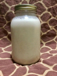 Homemade Alkaline Hemp Milk - 1L