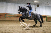 Chase Horsemanship/Coltstarting 