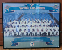 Toronto blue Jay's back 2 back world series picture