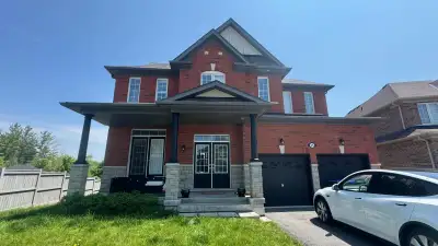 Walkout Basement for Lease