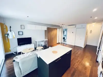 Studio meublé à neuf et entièrement équipé 5108 Rue de Lanaudière, Montréal (H2J 3R3) Superficie : 5...