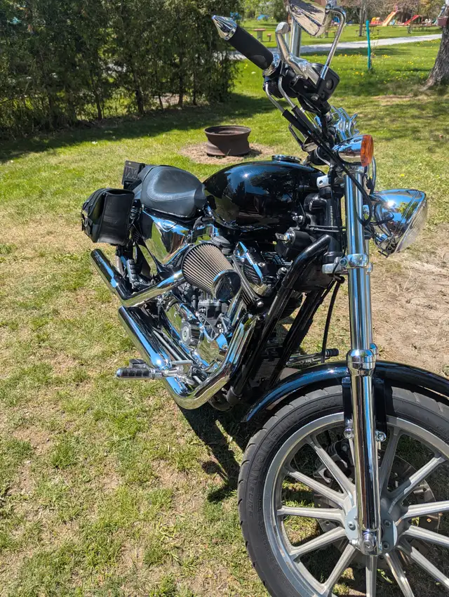 1200 CC Stage 2 Sportster in Street, Cruisers & Choppers in Kawartha Lakes - Image 9