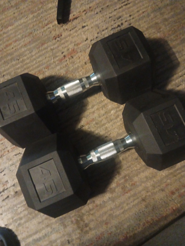 45lbs dumbells in Exercise Equipment in Chatham-Kent