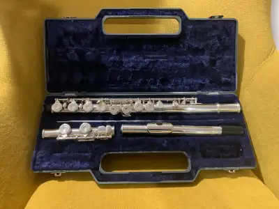 In very good condition famous Italian flute. Price: 75$.