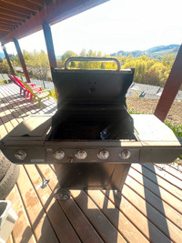 Good Barbecue machine for sell