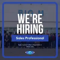 Big M Ford Lincoln -  Sales Professional