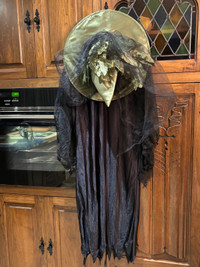 Halloween Witch Costume 