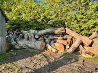 Free Wood - Pickup only