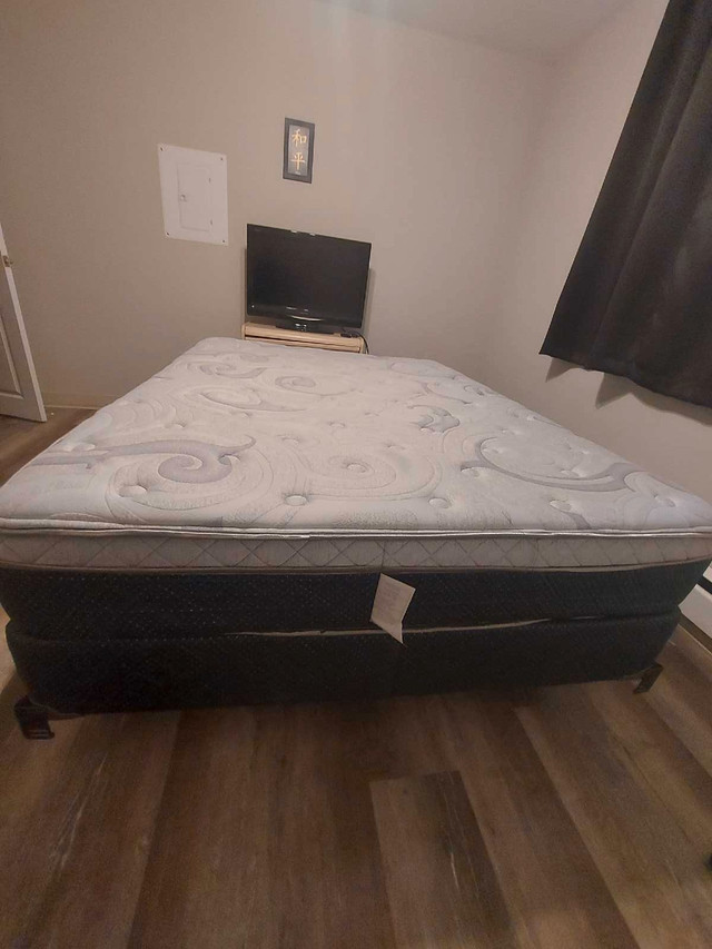 Queen size bed and box spring in Beds & Mattresses in Thunder Bay