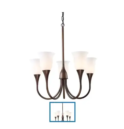Brand new in box never used. Retails for over $500 plus tax. ELK Lighting Five Light Aged Bronze Up...